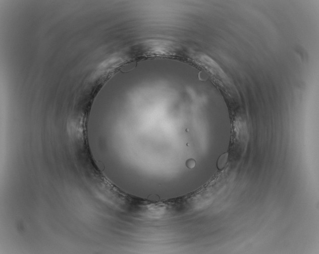 X0000112890423200909041705