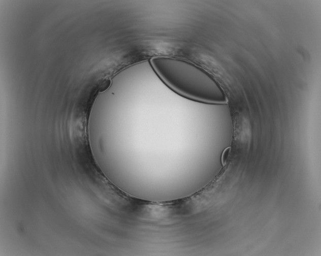 X0000112890425200909041705