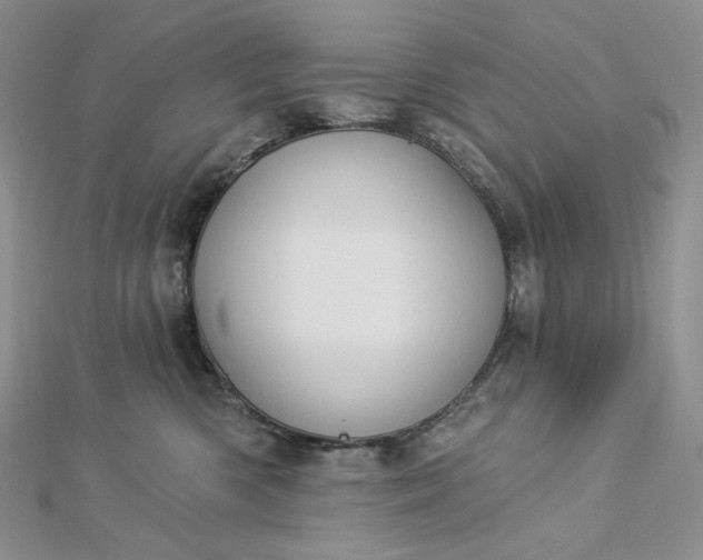 X0000112890426200909041705