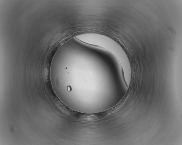 X0000112890427200909041705
