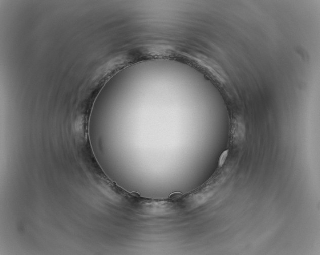X0000112890428200909041705