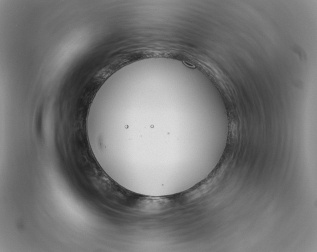 X0000112890429200909041705