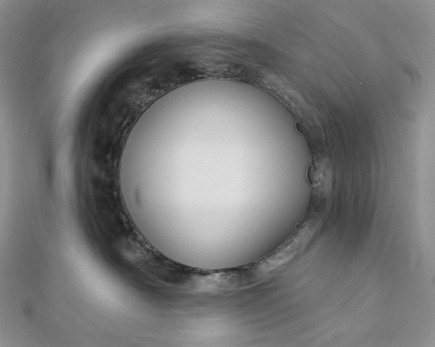 X0000112890430200909041705