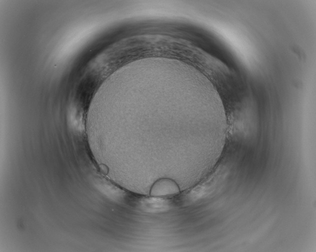 X0000112890431200909041705