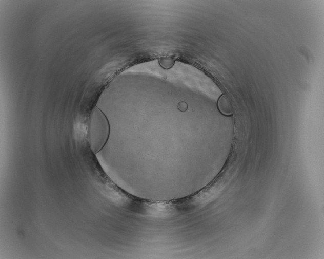 X0000112890432200909041705