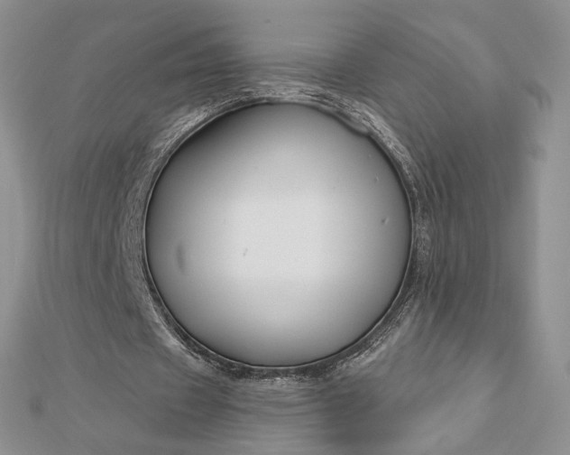 X0000112890433200909041705