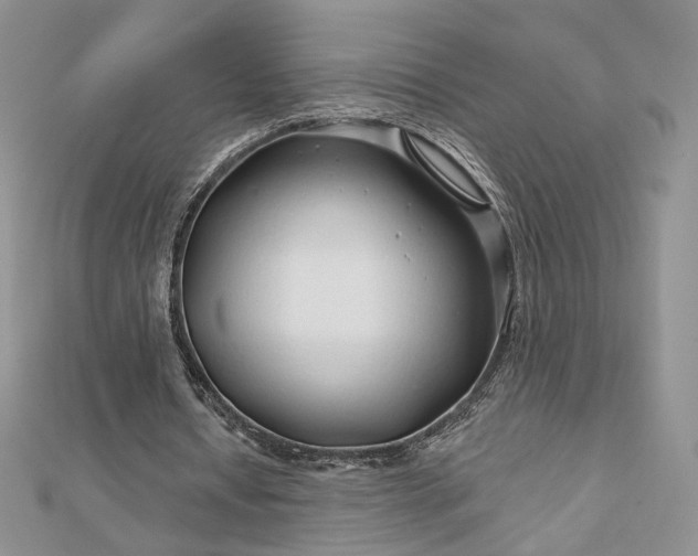 X0000112890434200909041705