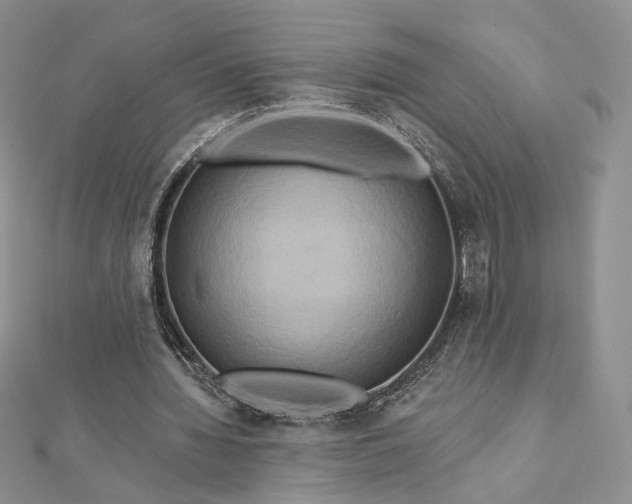 X0000112890436200909041705