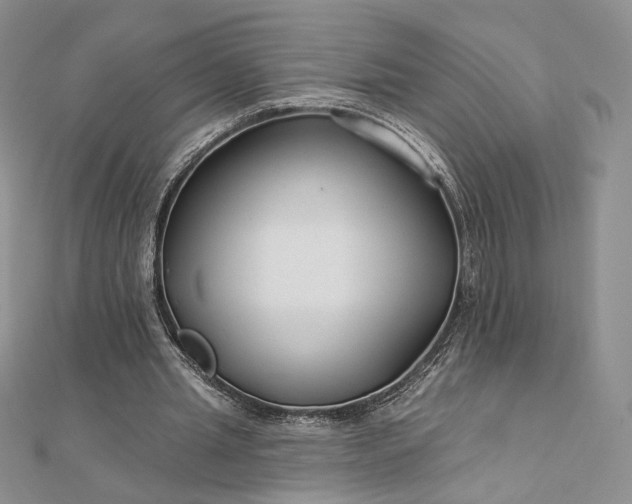 X0000112890437200909041705