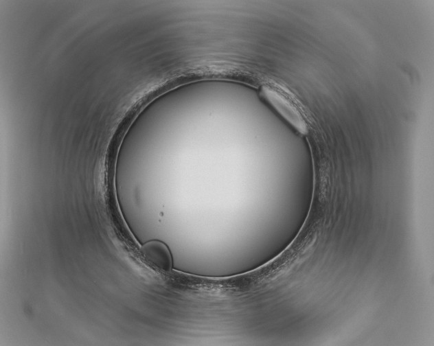 X0000112890439200909041705