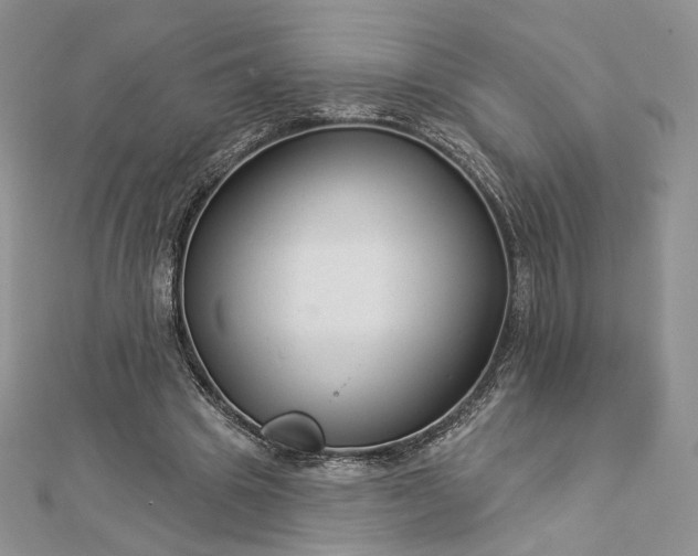 X0000112890441200909041705