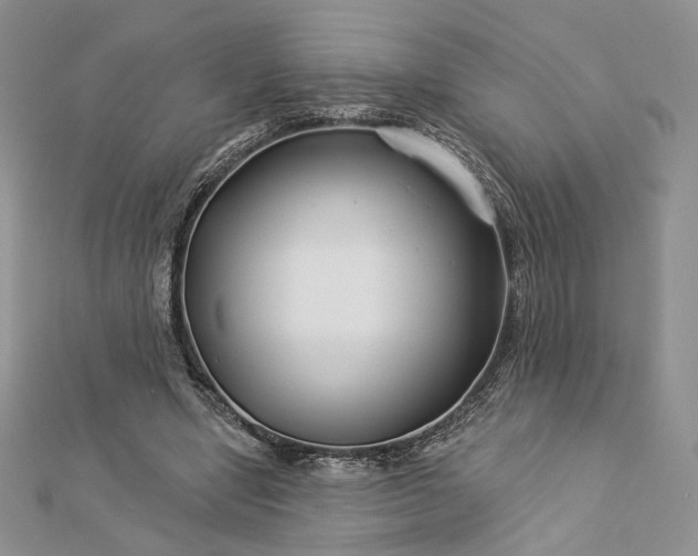 X0000112890442200909041705
