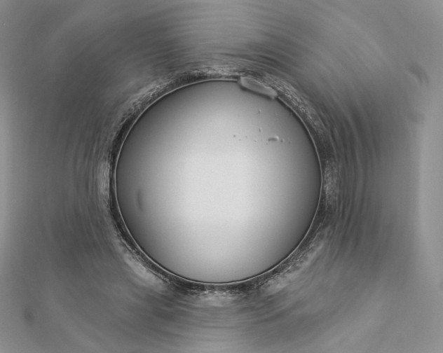X0000112890445200909041705