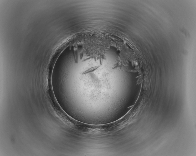 X0000112890446200909041705