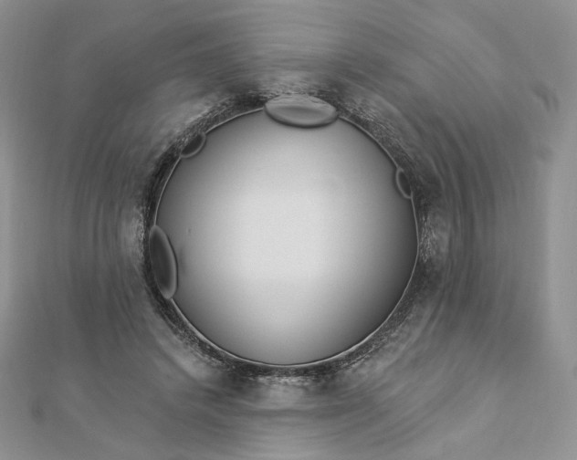 X0000112890448200909041705