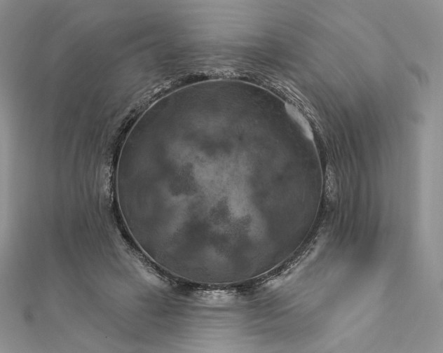 X0000112890449200909041705