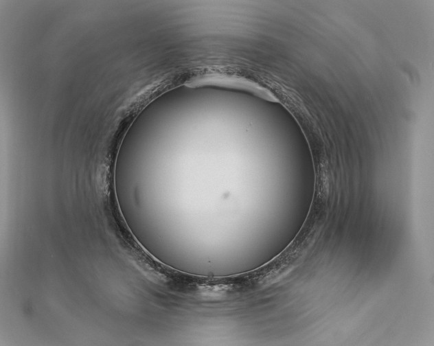 X0000112890450200909041705