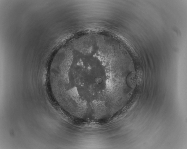 X0000112890451200909041705