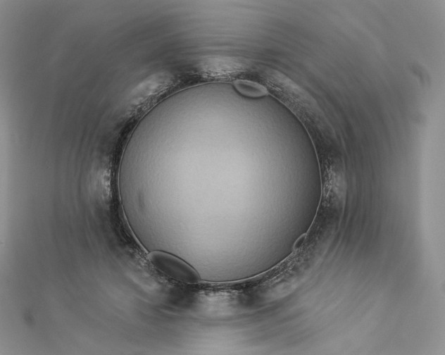 X0000112890452200909041705