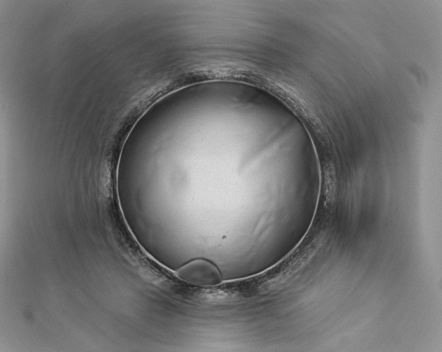 X0000112890453200909041705