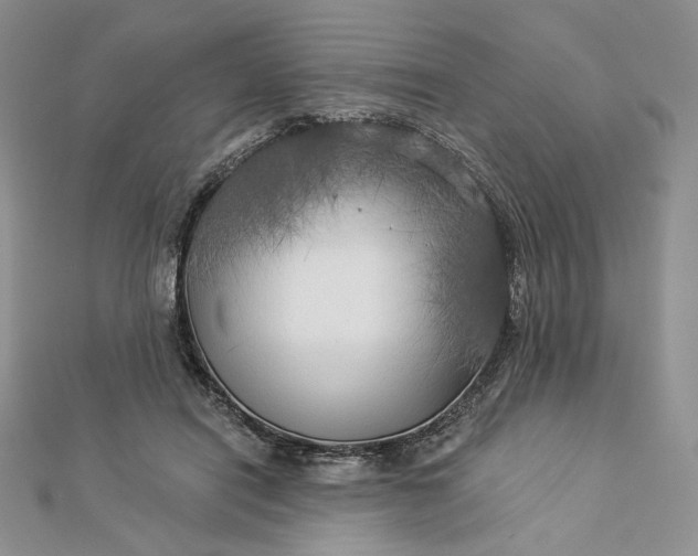 X0000112890454200909041705