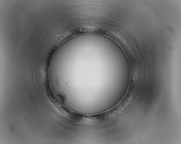 X0000112890455200909041705