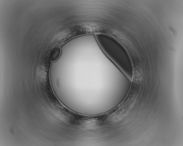 X0000112890456200909041705