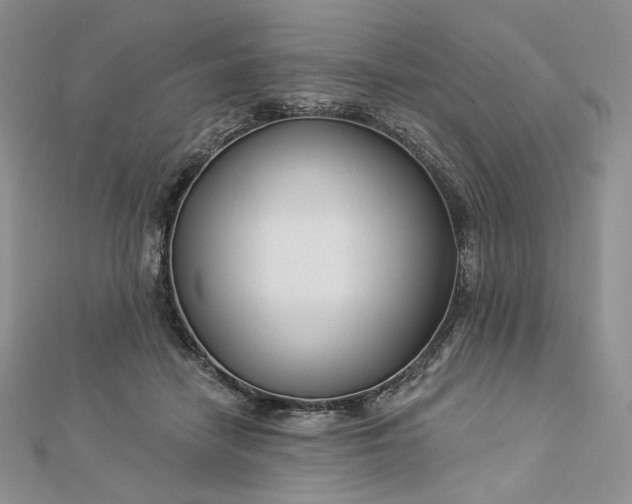 X0000112890458200909041705