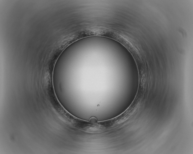 X0000112890459200909041705