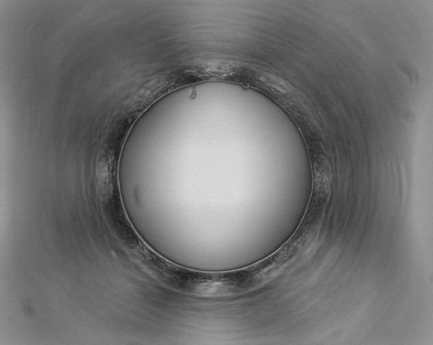 X0000112890460200909041705