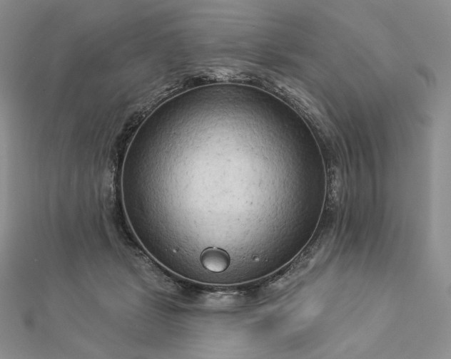X0000112890461200909041705