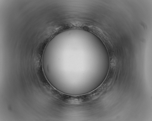X0000112890464200909041705