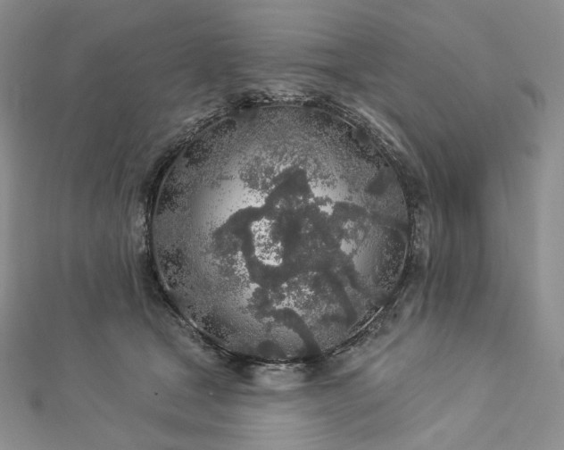 X0000112890465200909041705