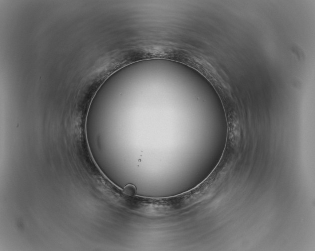 X0000112890466200909041705