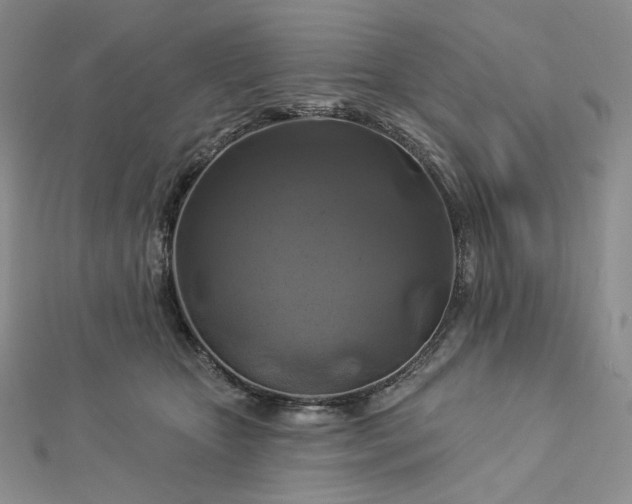 X0000112890467200909041705