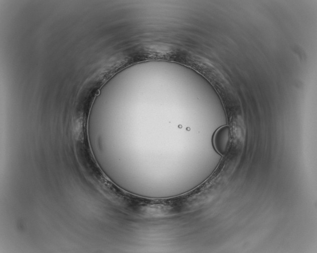X0000112890468200909041705