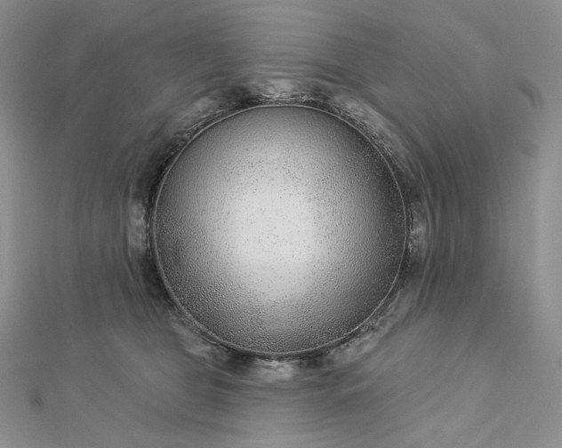 X0000112890469200909041705