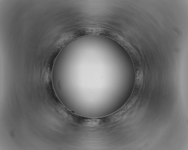 X0000112890474200909041705