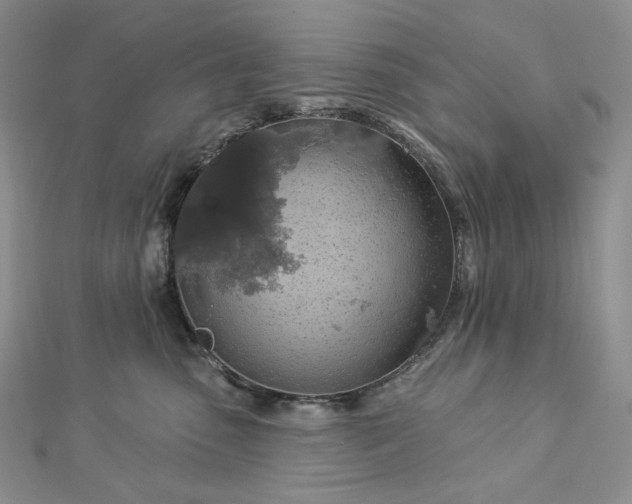 X0000112890475200909041705