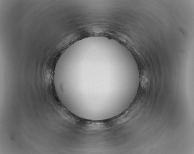 X0000112890476200909041705
