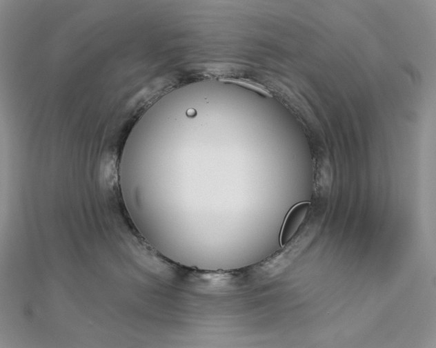 X0000112890478200909041705