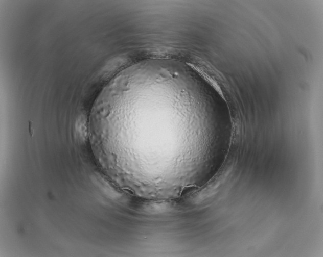X0000112890479200909041705