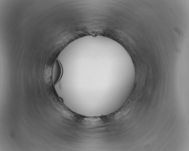 X0000112890480200909041705