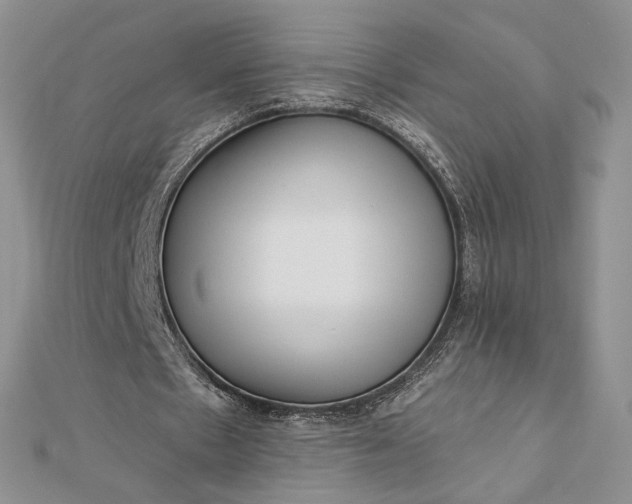 X0000112890481200909041705