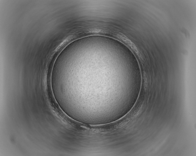 X0000112890482200909041705