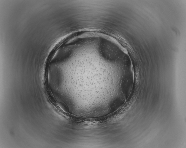 X0000112890484200909041705