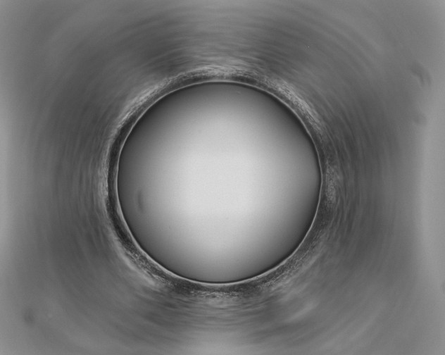 X0000112890486200909041705