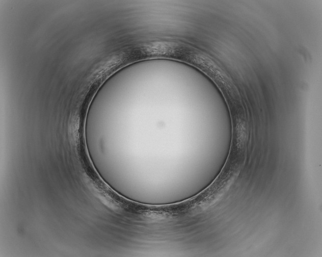 X0000112890490200909041705