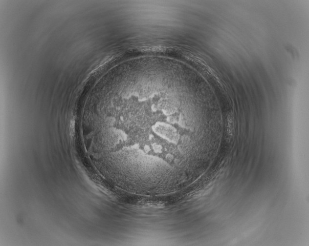 X0000112890491200909041705