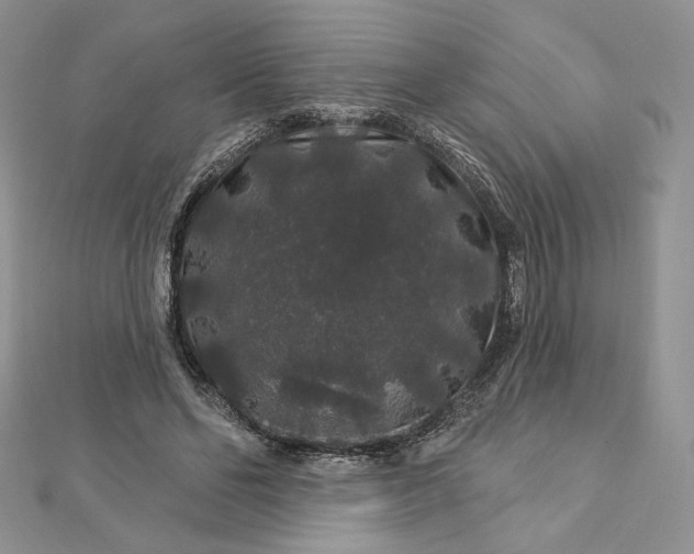 X0000112890494200909041704